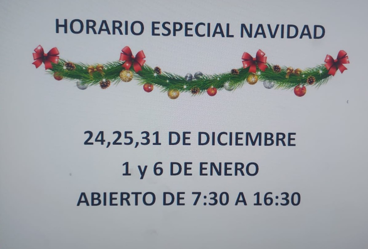 Horaio Navidad